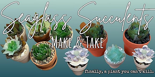 Primaire afbeelding van Seaglass Succulent Make & Take