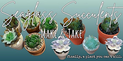 Primaire afbeelding van Seaglass Succulent Make & Take