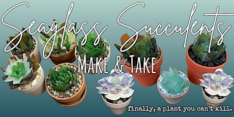 Seaglass and Shells Succulents