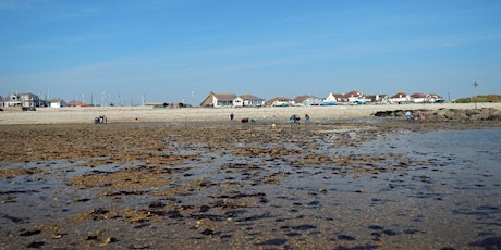 Local Volunteers Event: The Treasures of the Shore - a Beach Rummage