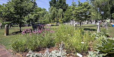 Immagine principale di Second Saturday Tour featuring Master Gardeners of Davidson County 