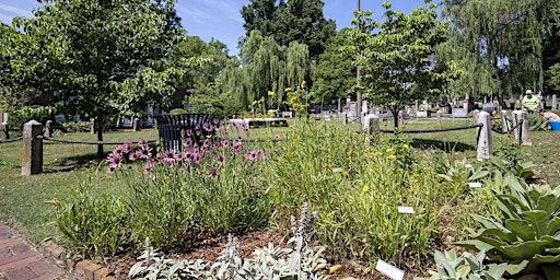 Primaire afbeelding van Second Saturday Tour featuring Master Gardeners of Davidson County