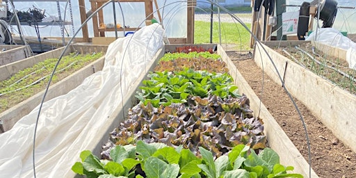 Hauptbild für Home Garden Workshop Series: Class #2 - Planting!