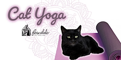 Imagen principal de Cat Yoga