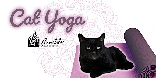 Cat Yoga primary image