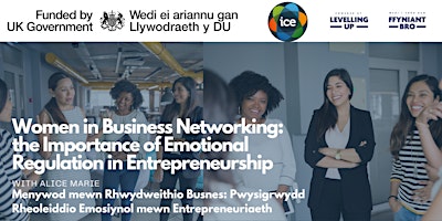 Imagem principal do evento WIB Networking: The Importance of Emotional Regulation in Entrepreneurship