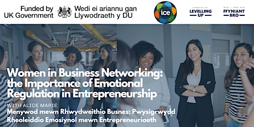 Immagine principale di WIB Networking: The Importance of Emotional Regulation in Entrepreneurship 