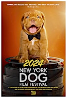 Imagen principal de 8th Annual NY State Dog Film Festival