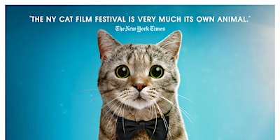 Immagine principale di 6th Annual NY State Cat Film Festival 