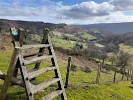 Immagine principale di Walk from Carrog to Bwlch Y Groes 