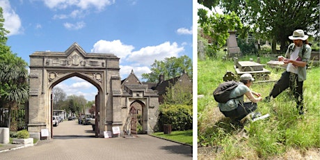 Primaire afbeelding van West Norwood Cemetery Plant Survey