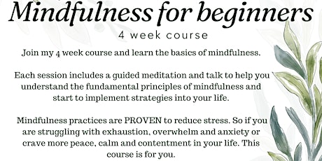 Imagen principal de Online Beginners Mindfulness Course