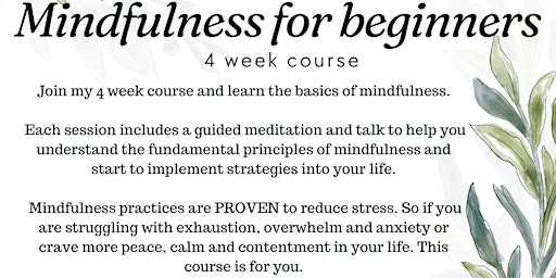 Hauptbild für Online Beginners Mindfulness Course