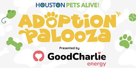 Volunteer at Adoption Palooza