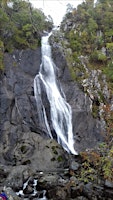 Imagem principal do evento Two Waterfalls Wildlife Walk - Aber Valley
