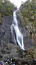 Two Waterfalls Wildlife Walk - Aber Valley