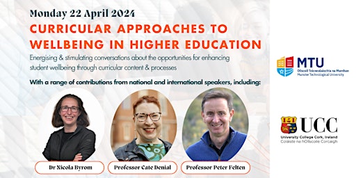 Curricular Approaches to Wellbeing in Higher Education  primärbild