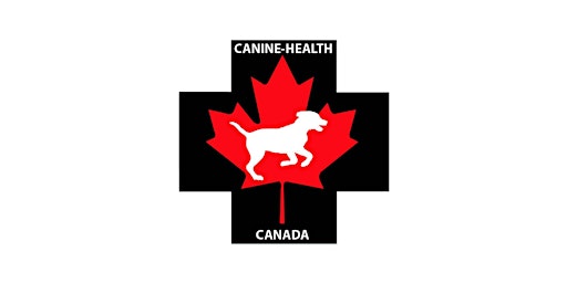 Canine First Aid primary image