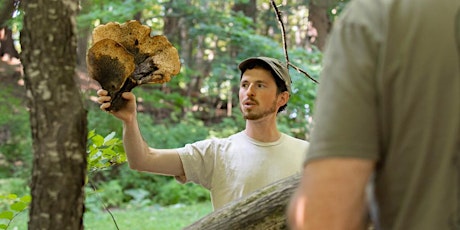 Wild Mushroom Foray