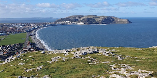 Little Orme circular walk primary image