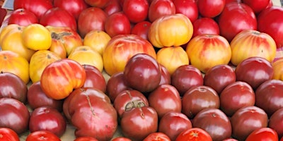Imagem principal de Totally Tomatoes Workshop