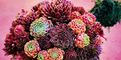 Primaire afbeelding van Succulent Turtle Workshop At Mission Realty