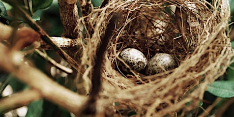 Make a Natural Nesting Material Dispenser