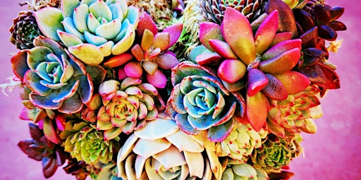 Succulent Topiary Heart Workshop At Burning Beard Brewing  primärbild