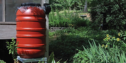 Image principale de 2024 Rain Barrel Workshop