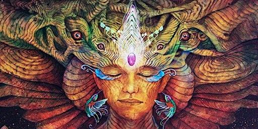 Hauptbild für Beginner Shamanic Travel Workshop