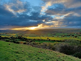 Imagem principal de Wildflower Walk at Y Graig