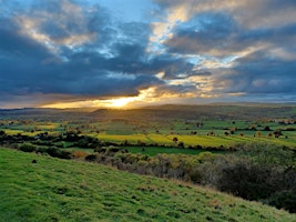 Imagem principal de Wildflower Walk at Y Graig