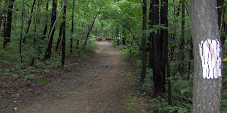 Mothers Day Hike 2024 RAIN OR SHINE primary image