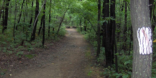 Mothers Day Hike 2024 RAIN OR SHINE