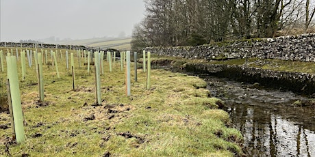 Tree planting with the Lune Rivers Trust in Cabus, Garstang