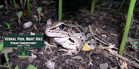 Vernal Pool Night Hike