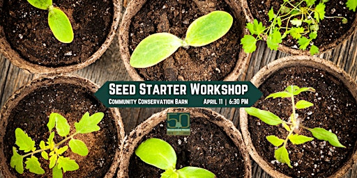 Imagem principal do evento Seed Starter Workshop