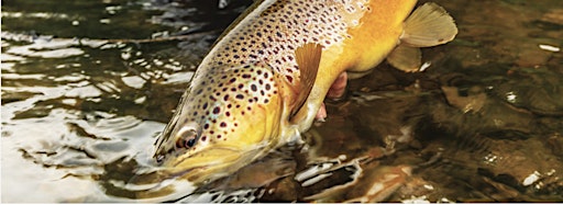 Collection image for Spring 2024 Fly Fishing Classes