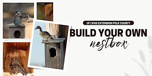Imagem principal do evento Owls and Wood Ducks: Nestbox Building Workshop
