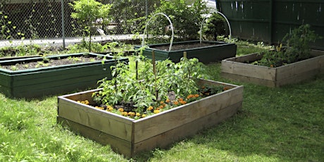 Pembroke Ave Community Garden Planting Day!