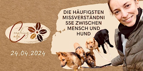 Die häufigsten Missverständnisse zwischen Mensch und Hund