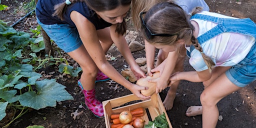 Primaire afbeelding van Back To Your Roots Boot Camp (August 5th-8th)