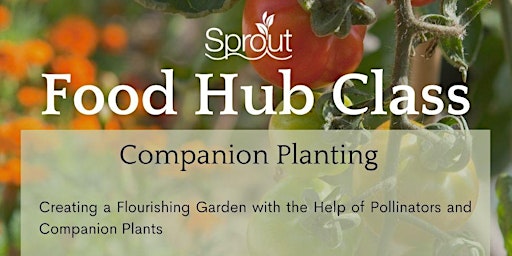 Immagine principale di Companion Planting 