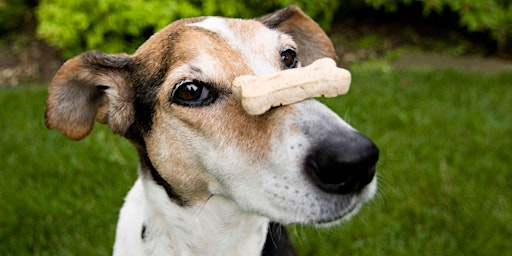 Hauptbild für Yappy Hour