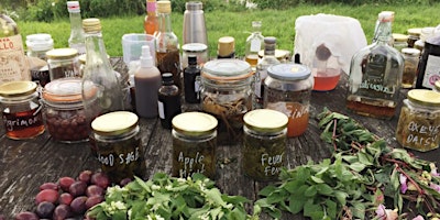 Springtime Hedgerow Harvest and Foraging: May 18th primary image