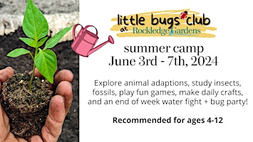 Little Bugs Club Summer Camp primary image