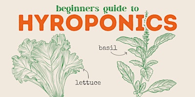 Primaire afbeelding van Beginners Guide to Hydroponics Workshop