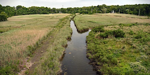 Hauptbild für Mill Creek and Richmond Valley Walk