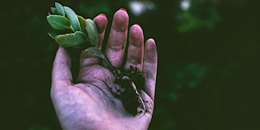 Hauptbild für LHYAC (Sp '24): California Native Plants 3-Part Workshop Series - Saturday