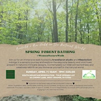 Spring Forest Bathing + Nature Walk For Women  primärbild